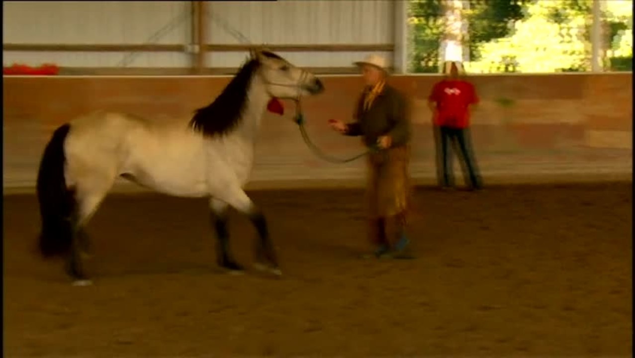 Buck - Clip 2 Pferde vertehen (Deutsch)