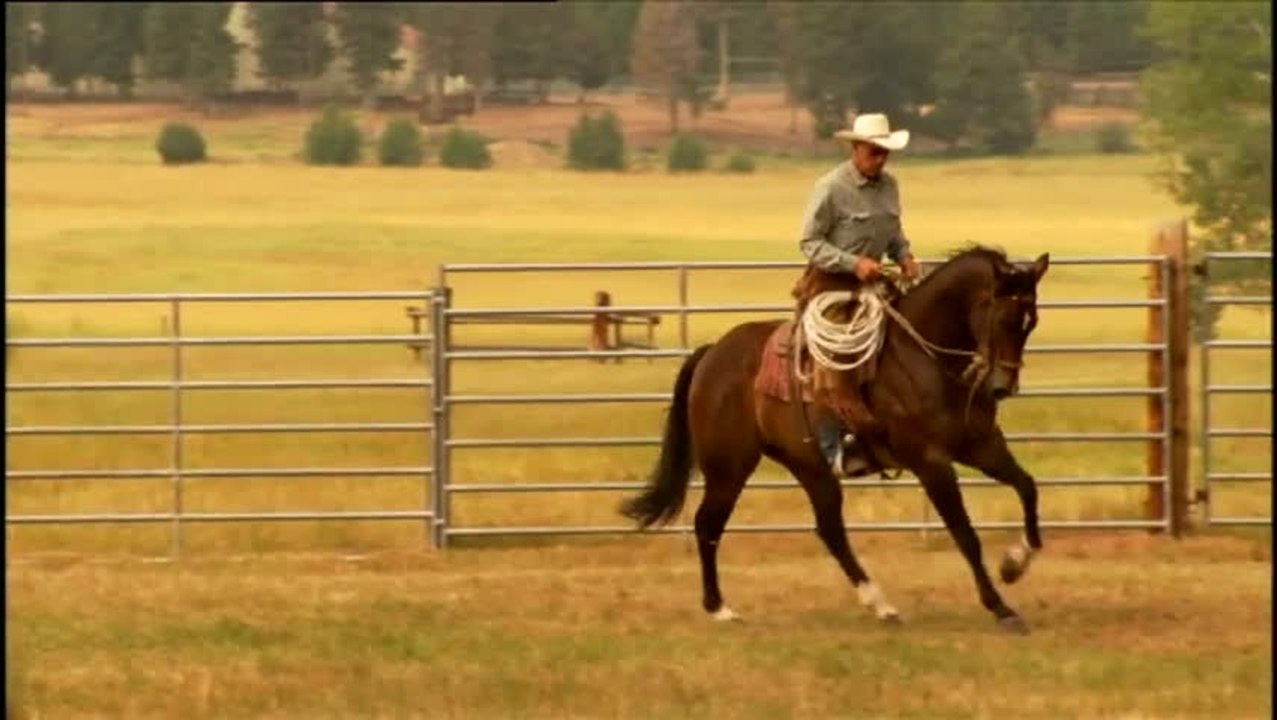 Buck - Clip 11 Buck lernt nie aus (Deutsch)