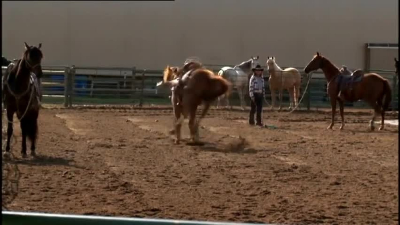 Buck - Clip 6 Natural Horsemanship (Deutsch)