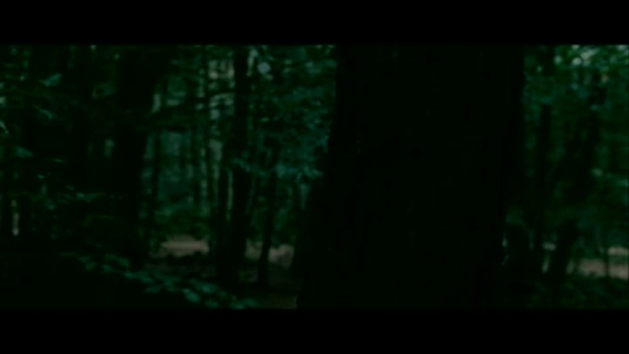 Ein Ruhiges Leben - Clip 1 Wildschweinjagd (Deutsch)