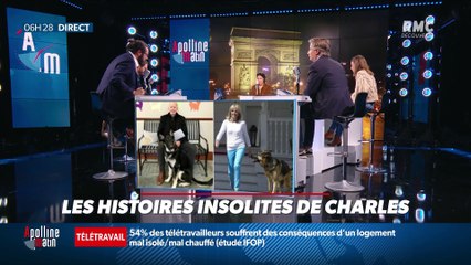 «Les 3 histoire de Charles Magnien » : Le retour des chiens à la Maison Blanche, un rein livré en Lamborghini en Italie, et une école interdit aux parents de lancer leur enfant à Avignon - 10/11