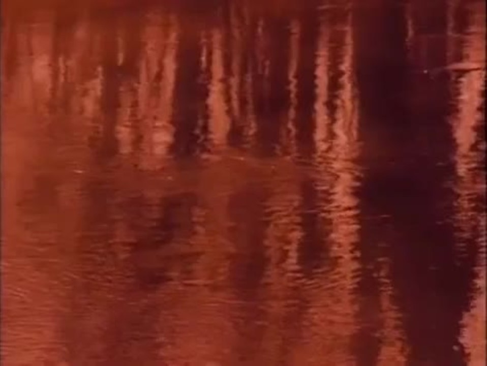 Twin Peaks - Twin Peaks Song (Englisch)