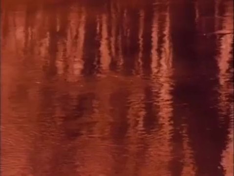 Twin Peaks - Twin Peaks Song (Englisch)