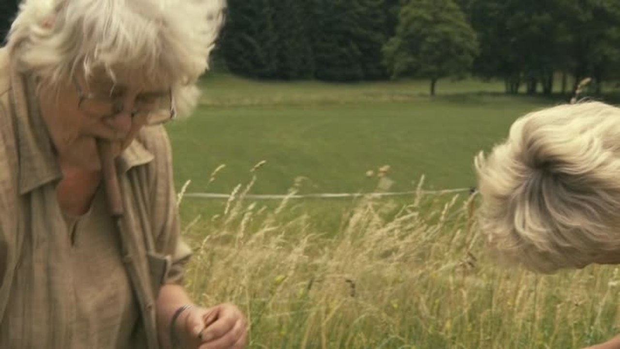 More than Honey - Clip 8 Ã–sterreichische BienenkÃ¶nigin (Deutsch)