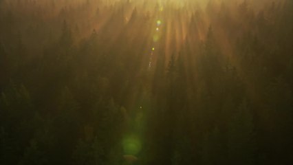 Das grÃ¼ne Wunder - Unser Wald - Trailer (Deutsch) HD