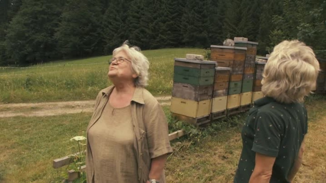 More than Honey - Clip 3 Jungfernflug (Deutsch)