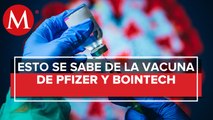 Pfizer y Biontech anunciaron que su vacuna Covid es eficaz en 90%