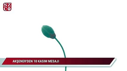 Tải video: Akşener'den 10 Kasım mesajı