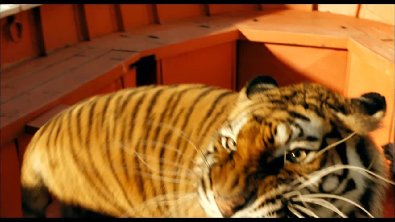 Ang Lee im Interview | Life of Pi