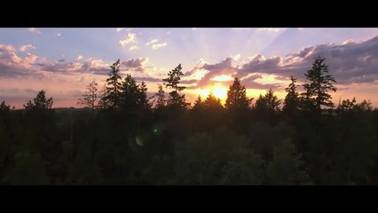 BLΟΟD MΟNЕY Official Trailer John Cusack, Mystery Movie HD