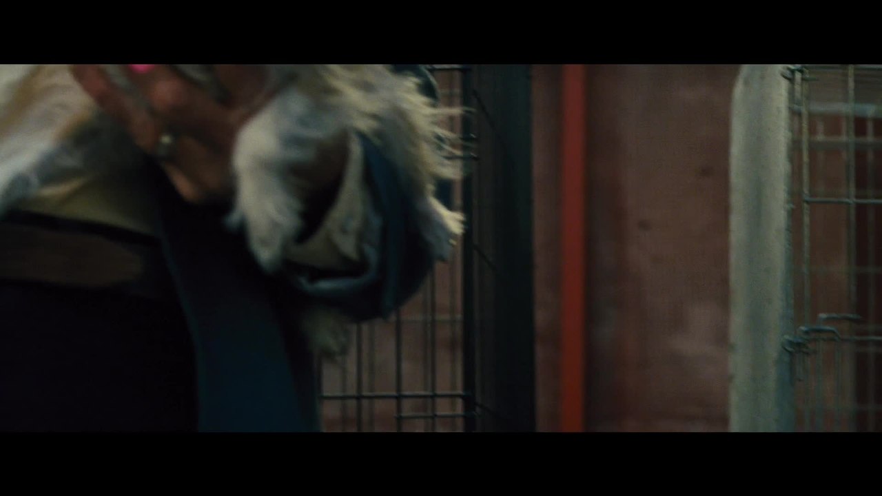 7 Psychos - Clip 8 Hunde Kidnapping (Deutsch) HD