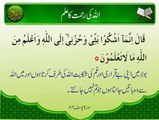 Allah Ki Rehmat Ka Ilm | Ayat | Surat Yousuf 86 | HD