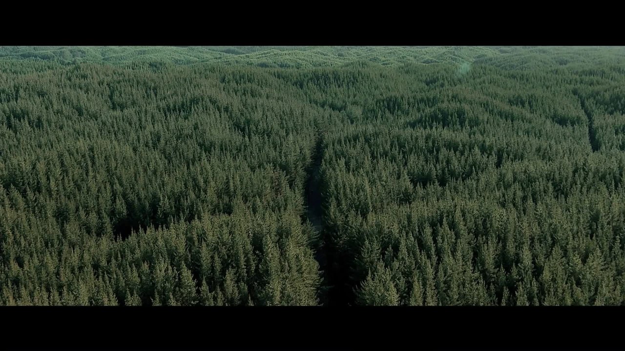 Evil Dead - Trailer FSK 18 (Deutsch) HD