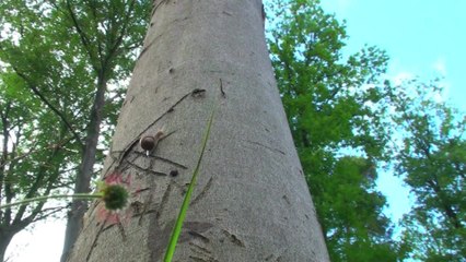 Slow - Langsam ist das neue schnell - Trailer (sprachenunabhÃ¤ngig) HD