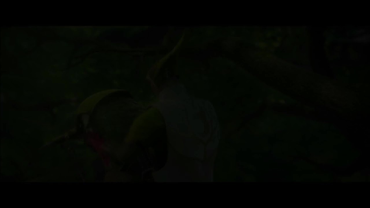 Epic - Trailer 3 (English) HD