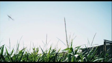 Summer Games - Trailer (Deutsche UT)