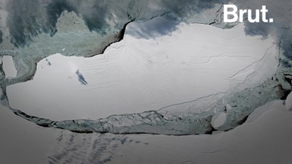 This giant glacier is on a collision course with a British overseas territory