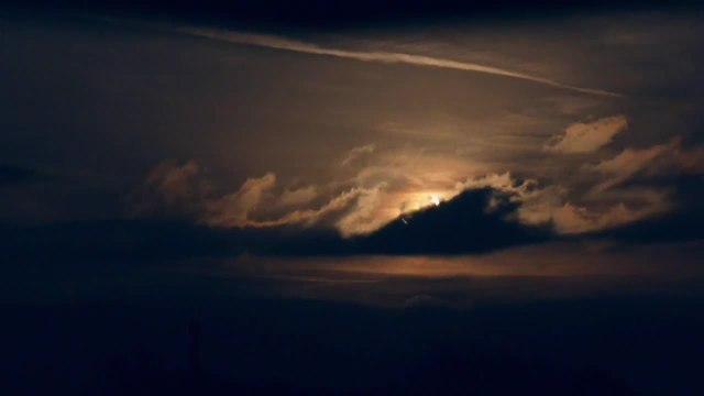Stevie Nicks: In Your Dreams