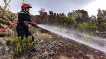 Un incendie ravage plus de 200 hectares à La Réunion