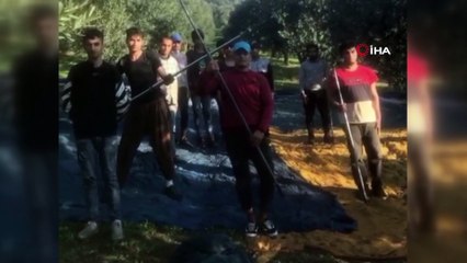 İznik'te zeytin işçilerinden Ata'ya saygı