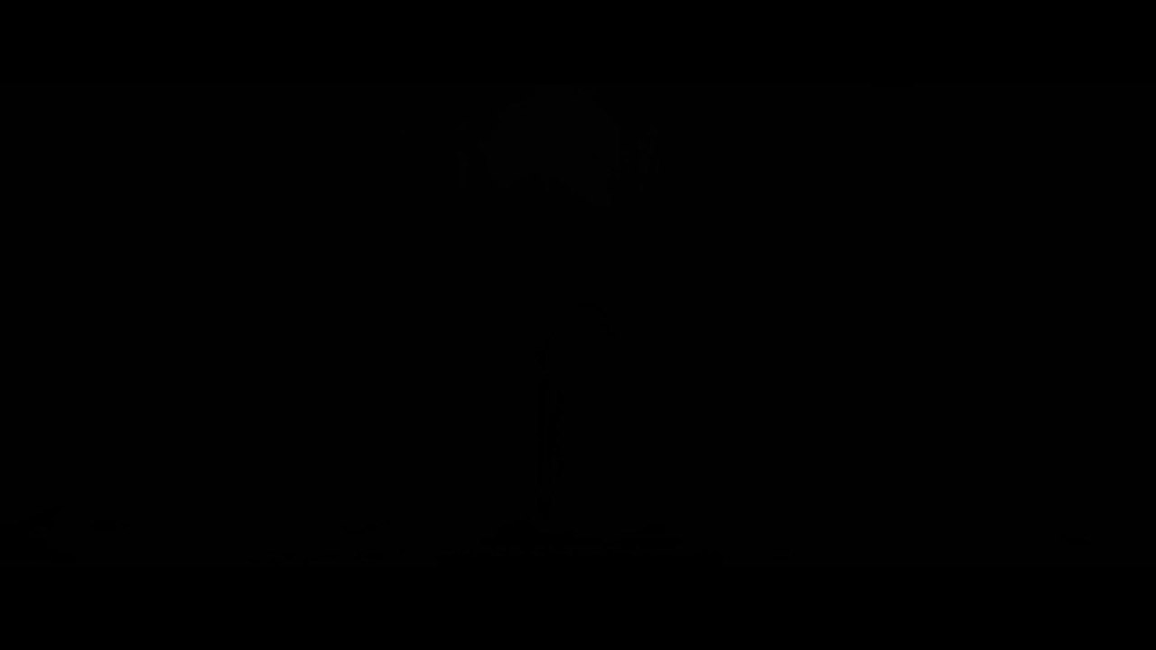 Captain Phillips - Trailer (Deutsch) HD