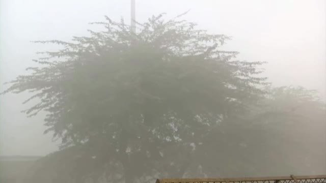 Nueva Delhi sufre las consecuencias de la contaminación a las que este año se suma el coronavirus con 7.000 contagios diarios