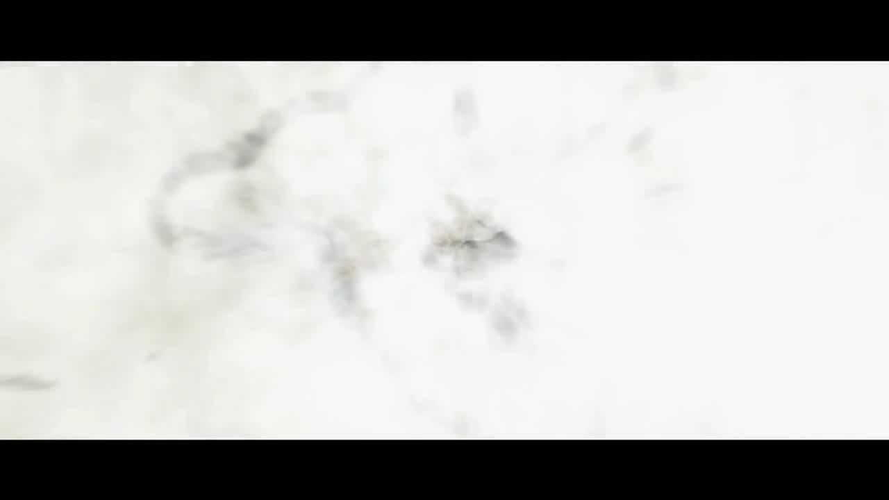 Wochenendkrieger - Trailer (Deutsch) HD