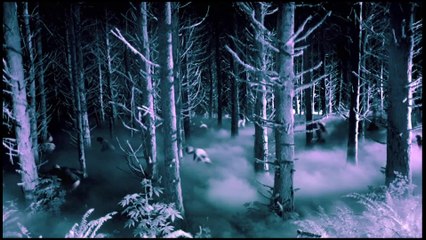 American Horror Story - S02 Teaser Trailer15 (English) HD