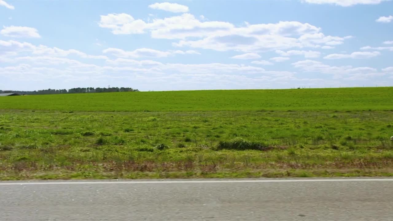 Jackass Bad Grandpa - Trailer (Deutsch) HD