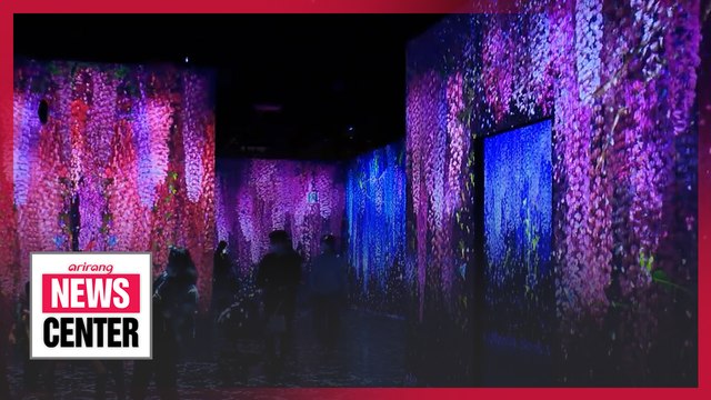Immersive media art exhibition 'Arte Museum' on Jeju Island mesmerizes visitors