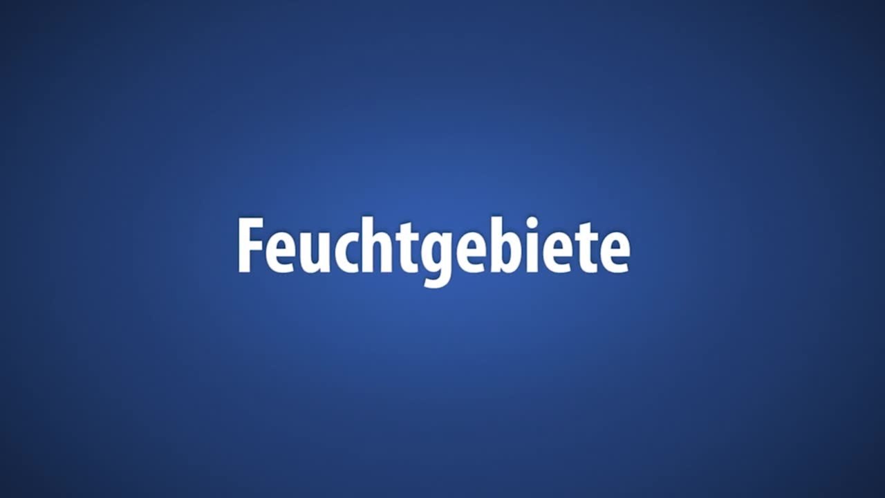 Feuchtgebiete Premiere