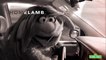 Sesame Street - Clip Homelamb Homeland Parody (English) HD