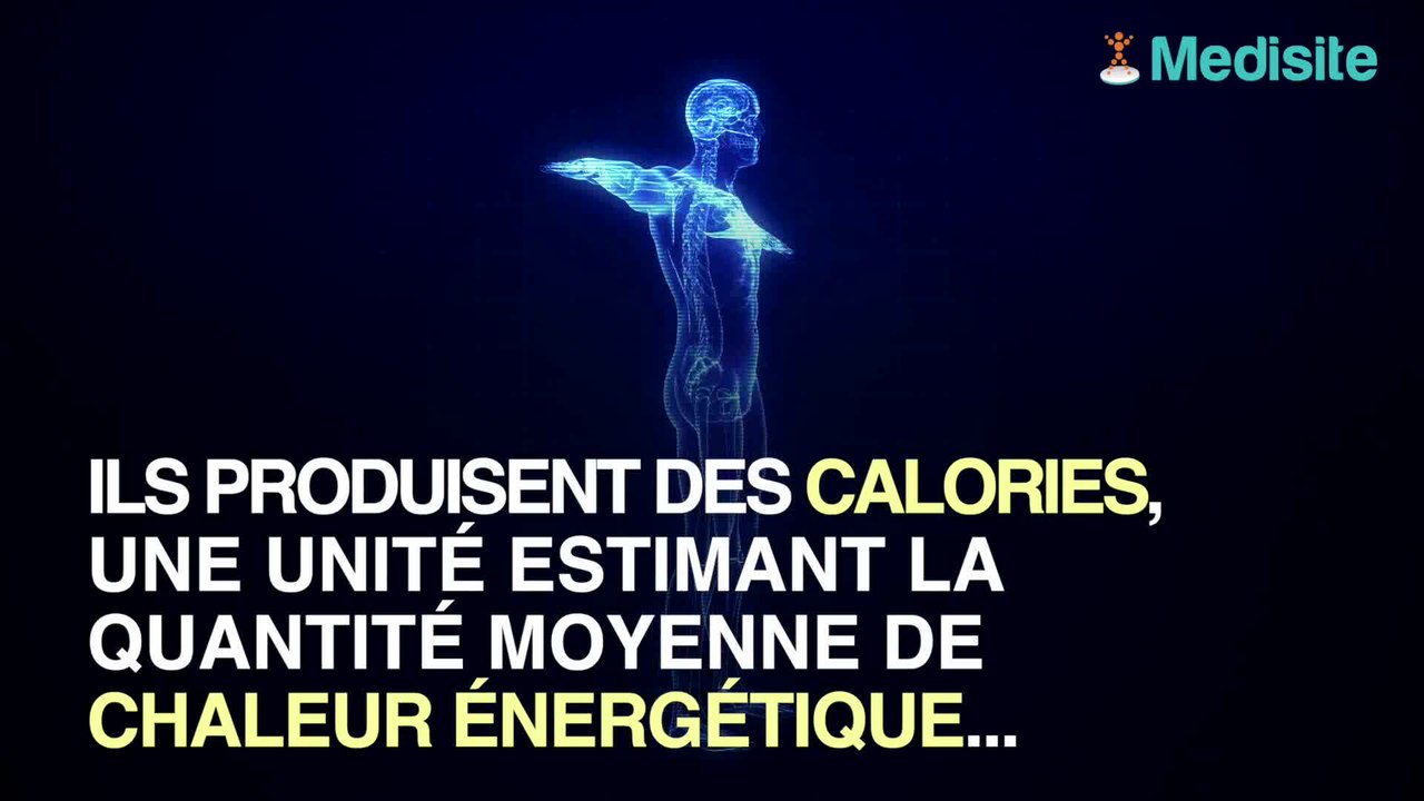 Qu'est-ce qu'une calorie ?
