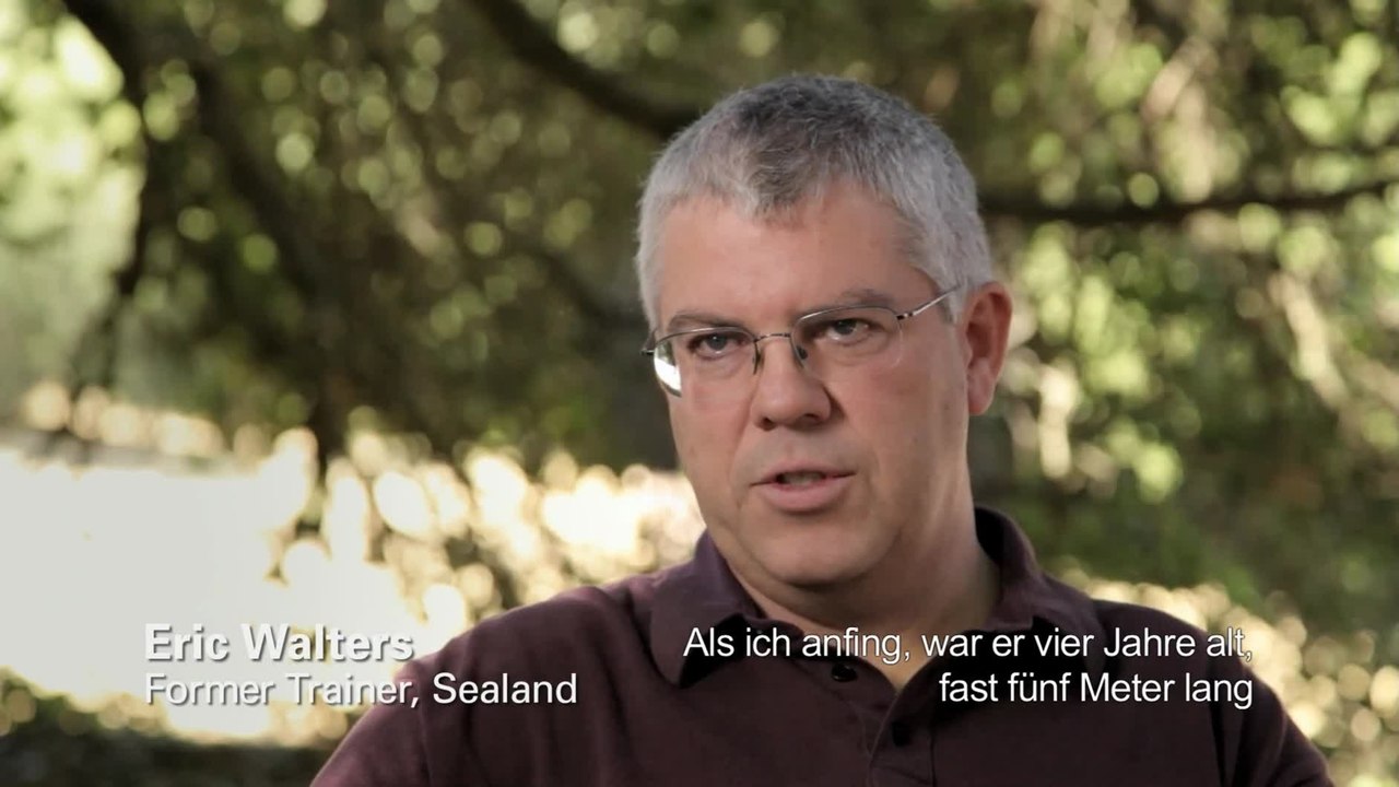 Blackfish - Clip Berichte Ã¼ber Trainingsmethoden (OmU) HD