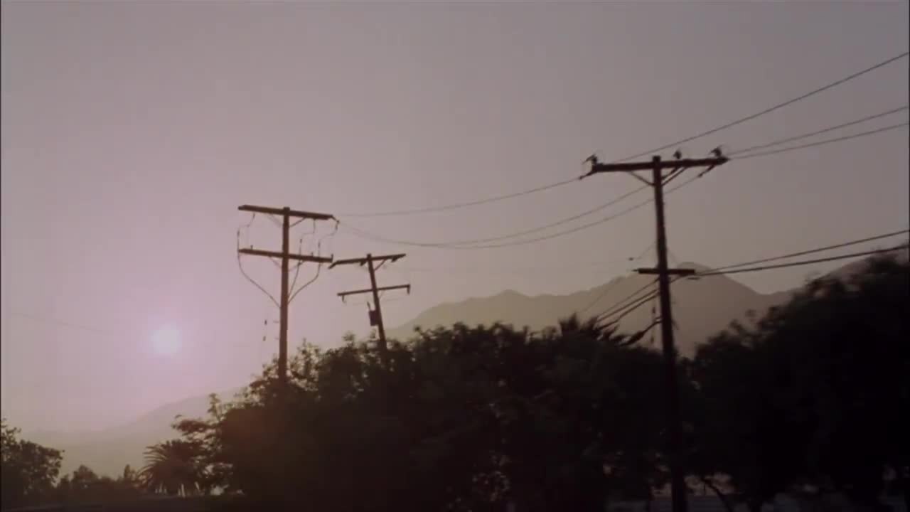 Winged Creature - Trailer (Deutsch) HD