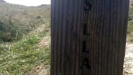 Ynys Llanddwyn Beach, Anglesey 🏖️