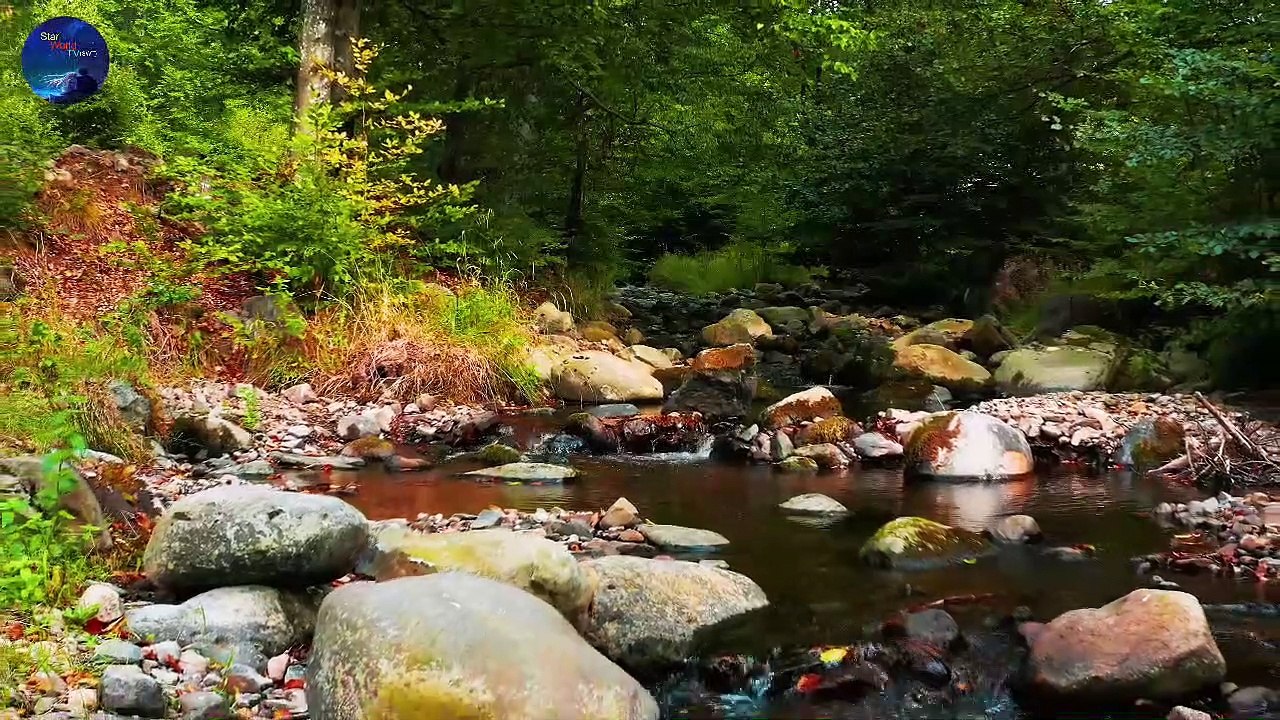 Nature Sounds Forest Sounds  Part 7 - Birds Singing Sound of Water-Relaxation-Mindfulness-Meditation