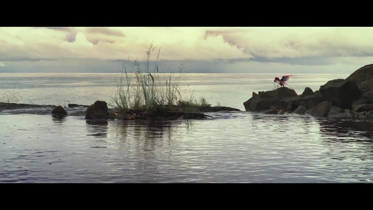 Dinosaurier 3D - Clip 3 (Deutsch) HD