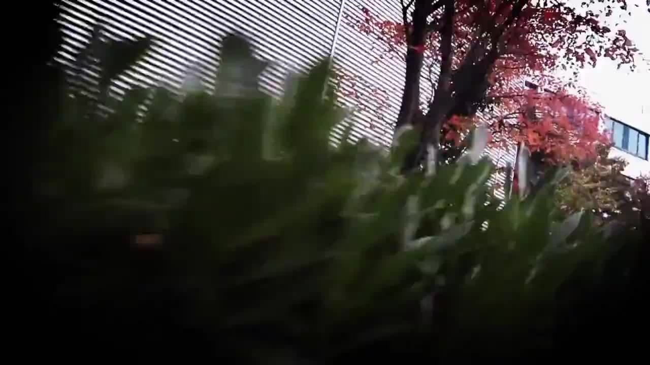 Ich bin ein Star holt mich hier raus - S08 Trailer (Deutsch) HD