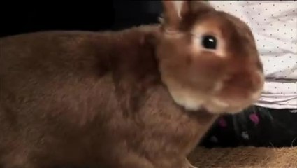 Meine Liebe Frau Schildt - Trailer (Deutsch)