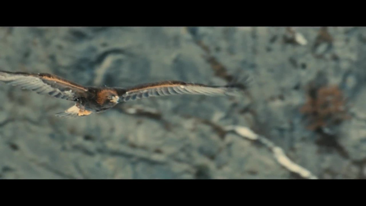 Belle und Sebastian - Trailer (Deutsch) HD