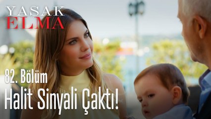 Halit sinyali çaktı - Yasak Elma 82. Bölüm