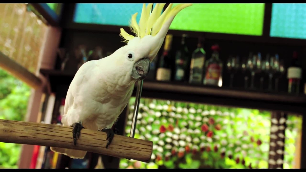 FÃ¼nf Freunde 3 - Clip 2 (Deutsch) HD