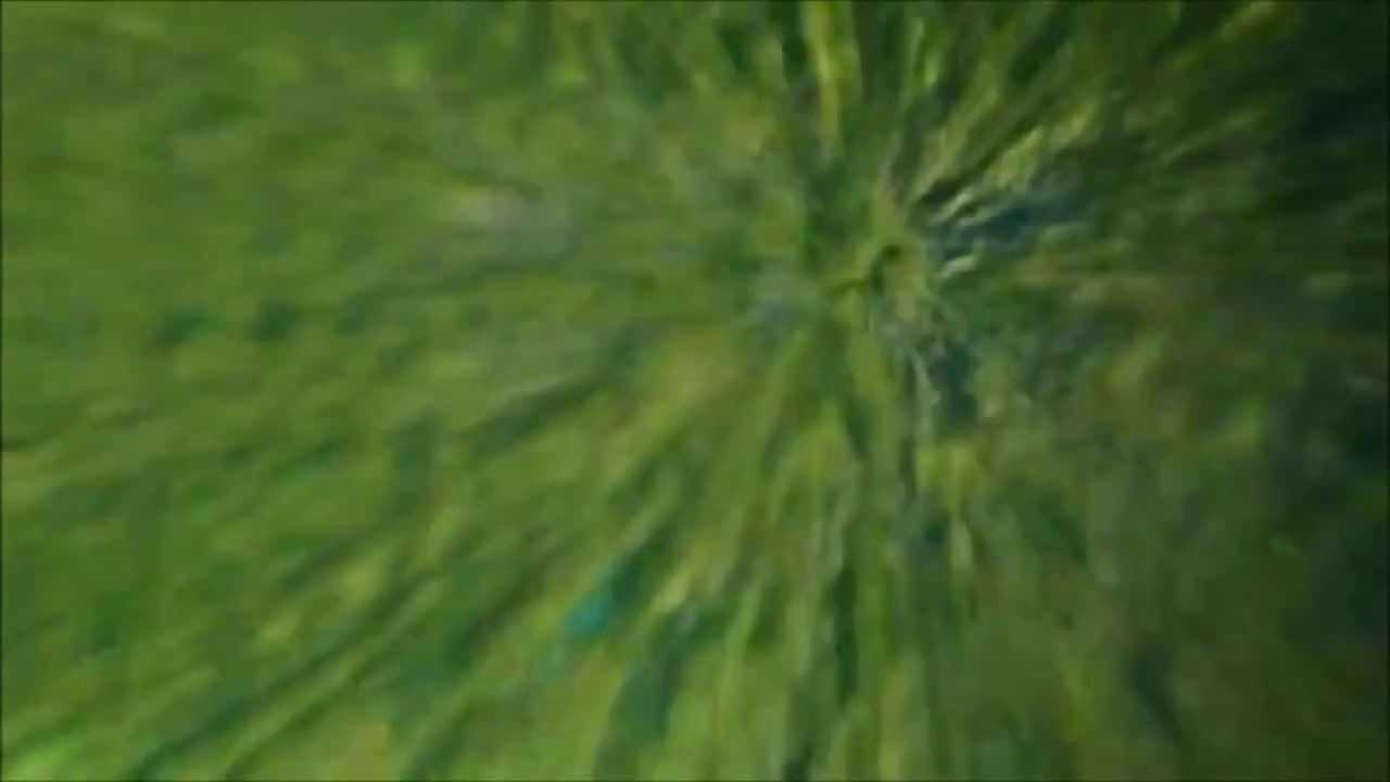 Ich bin ein Star holt mich hier raus - S08 Intro (Deutsch)