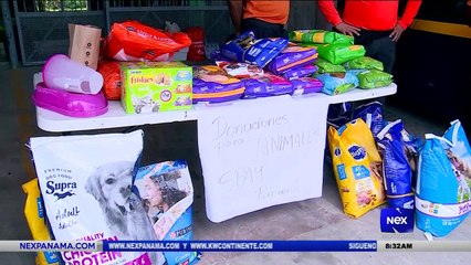 Download Video: Centros de donaciones para afectados en tierras altas - Nex Noticias