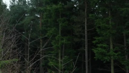 The Escape Artist - S01 E03 Clip (English) HD