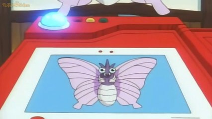 pokedex #049 venomoth
