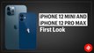 iPhone 12 Mini and iPhone 12 Pro Max first look: Premium experience, guaranteed