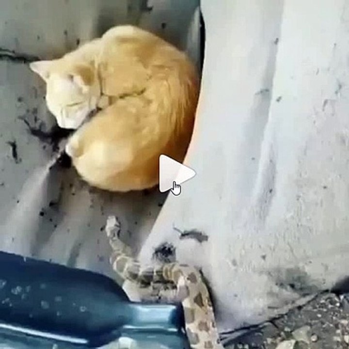 Θανάσιμος ύπνος