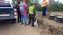 Muerte de perro pitbull tras ser arrastrado con una cadena en Tuluá